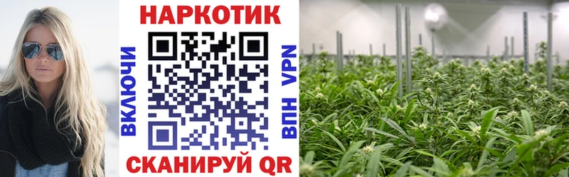 Наркошоп купить Альфа ПВП Конопля Мефедрон ГАШ Кемь
