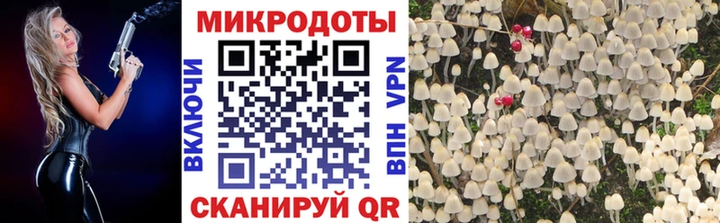 Купить закладки  Кемь  Псилоцибиновые грибы ЛСД 